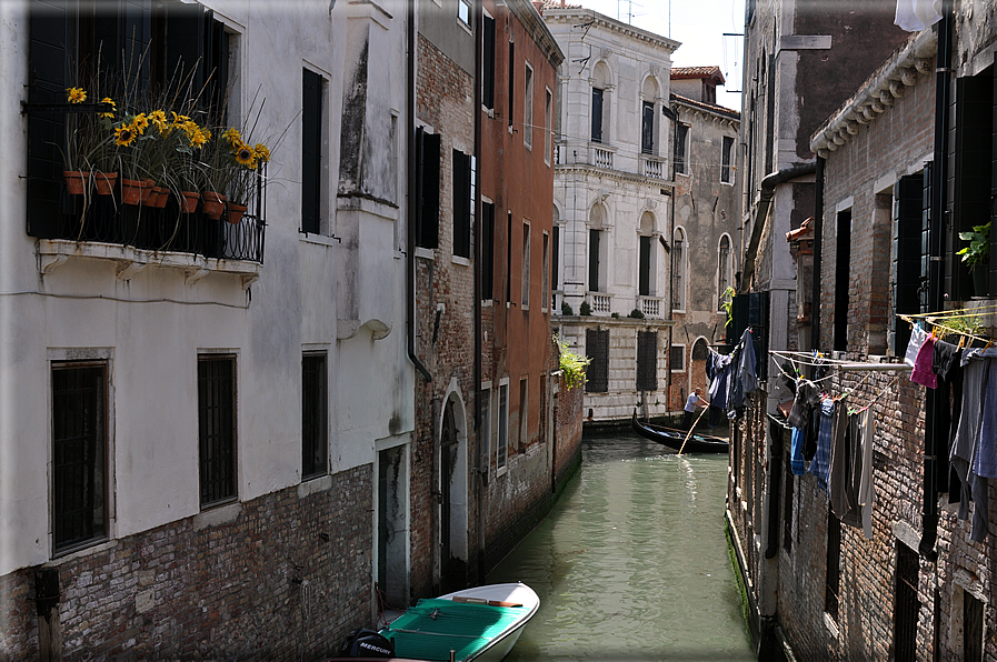 foto Venezia